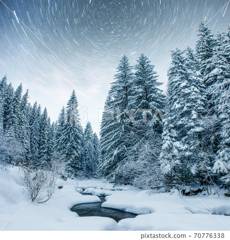 Dairy Star Trek in the winter woods. Dramatic and picturesque scene. In anticipation of the holiday. 70776338