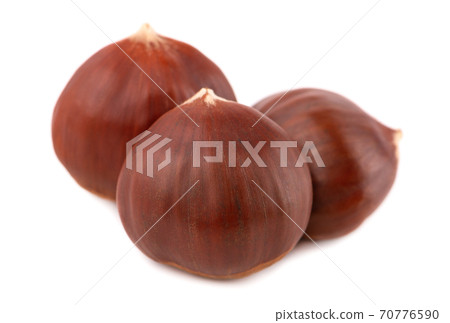Fresh chestnuts isolated on white background. Hippocastanum or horse chestnuts. Fresh chestnuts isolated on white background. Hippocastanum or horse chestnuts. 70776590