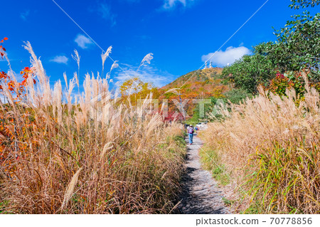 Jizou-dake from the shore of Lake Onuma 70778856