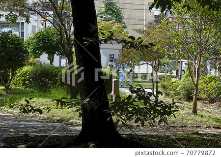 Yagato, Kosho-ji Temple, scenic spots Yagato, Kosho-ji Temple, scenic spots 70779872
