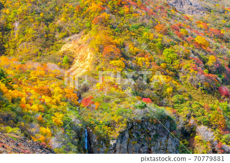 Autumn Zao Komakusadaira 70779881