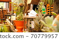 Cute products 70779957