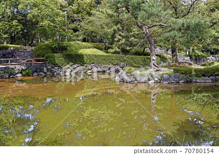 Nakamura Park / Scenery Nakamura Park / Scenery 70780154