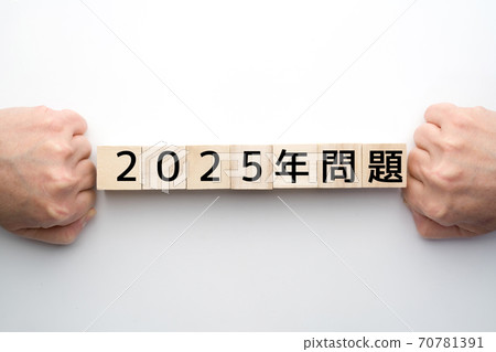 圖像2025問題 70781391
