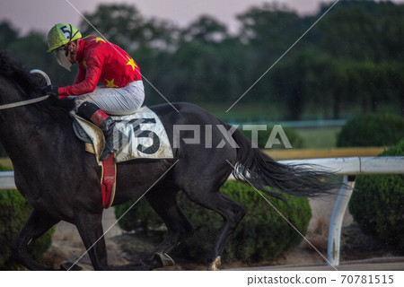 Saga horse racetrack at night Saga horse racetrack at night 70781515