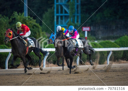 佐賀夜間賽馬 70781516