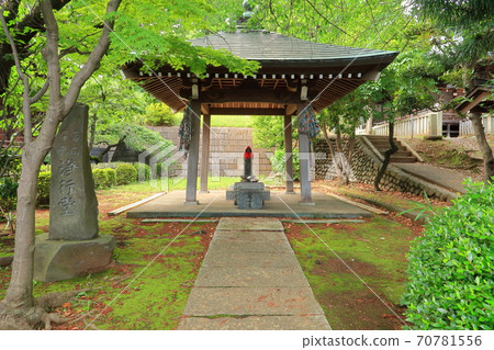 [Sagamihara City] Seiryuji Temple 70781556