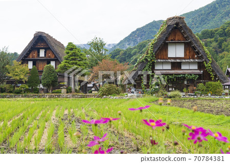 《Gifu Prefecture》 Hida Shirakawa-go Gassho-zukuri Village 70784381