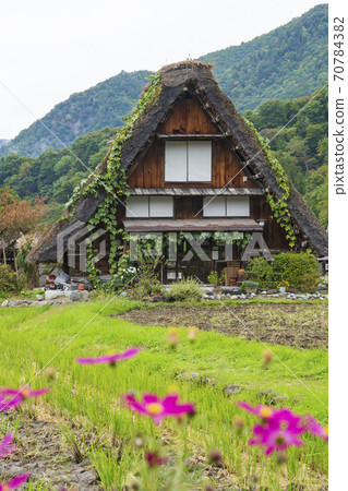 《Gifu Prefecture》 Hida Shirakawa-go Gassho-zukuri Village 70784382