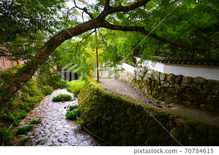 Kyoto Ohara Sanzenin Monzeki Ritsukawa Kyoto Ohara Sanzenin Monzeki Ritsukawa 70784615
