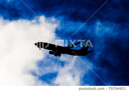 Flight silhouette Flight silhouette 70784951