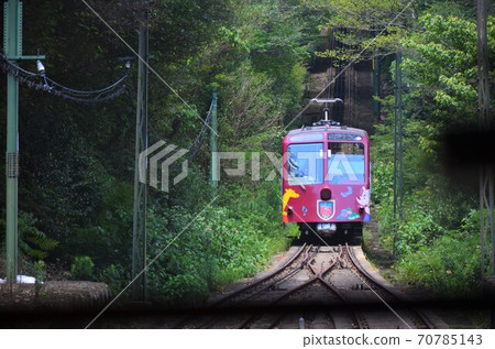 瑪雅電纜 70785143