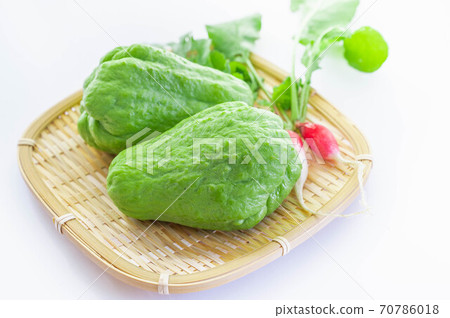 Green chayote Green chayote 70786018