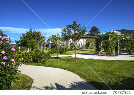 長野縣中野市秋季六本木公園信州玫瑰園 70787591