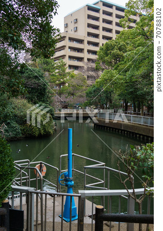 Yokojikkengawa Water Park (March 2018) Yokojikkengawa Water Park (March 2018) 70788102