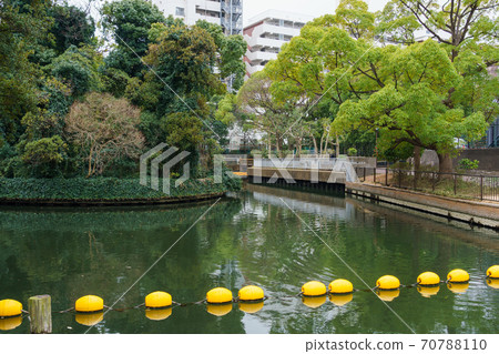Yokojikkengawa Water Park (March 2018) Yokojikkengawa Water Park (March 2018) 70788110