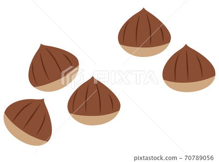 Chestnut vector illustration 70789056