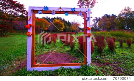 Kokia染成鮮紅色 Kokia染成鮮紅色 70790074