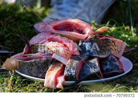 Carp as ingredients for fish broth soup cooked over an open fire Carp as ingredients for fish broth soup cooked over an open fire 70790372