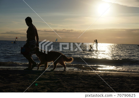 A person walking a dog in the setting sun on the Morito coast 70790625