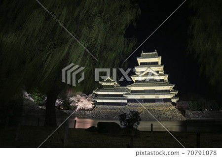 Matsumoto Castle Lighted Up Matsumoto Castle Lighted Up 70791078