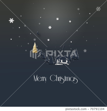Minimalist Christmas 2021 New Year winter night landscape 70791104