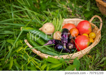 蔬菜 蔬菜 70791289