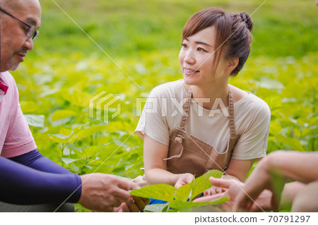 農業經驗 70791297