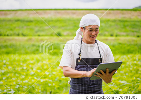 A man farming on a tablet PC A man farming on a tablet PC 70791303