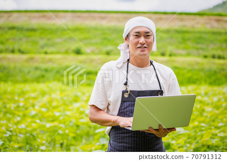 Farming on a computer 70791312