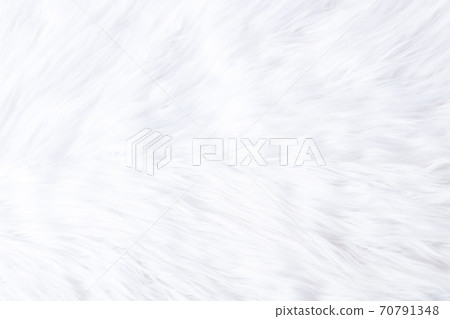 Background material-white faux fur Background material-white faux fur 70791348