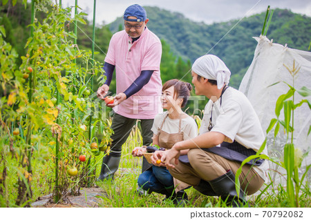 Agricultural experience Agricultural experience 70792082