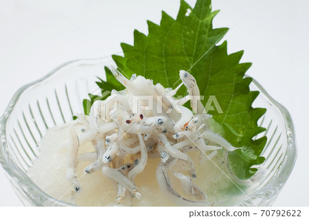 Grated chirimen Grated chirimen 70792622
