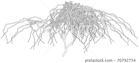 Outline a dried shrub without leaves 70792754