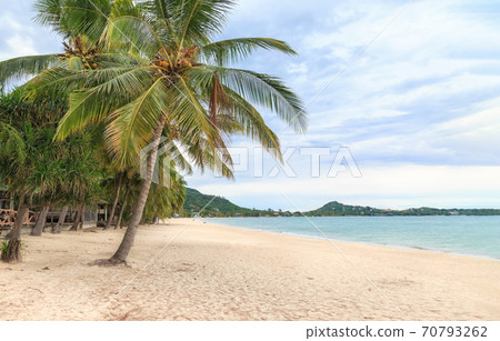 White sand at Lamai Beach, Koh Samui, Thailand. After Covid had no tourists make the sea complete ecological recovery ,nature balance 70793262