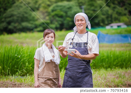 水稻和農民 水稻和農民 70793416