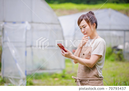 A woman farming on her smartphone 70793437