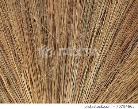 Close up of the broom grass Close up of the broom grass 70794663