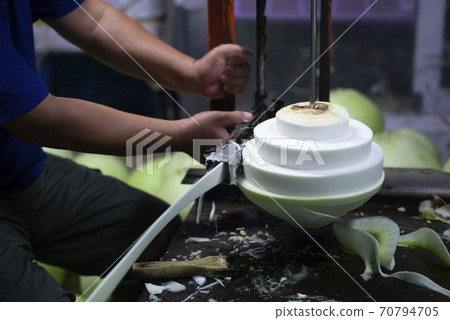 Kanpyo Farmer Kanpyo Striped Gourd Vegetables Agricultural Cultivation Tochigi 70794705