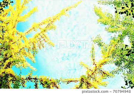 Contrast between leaves and fruits Contrast between leaves and fruits 70794948
