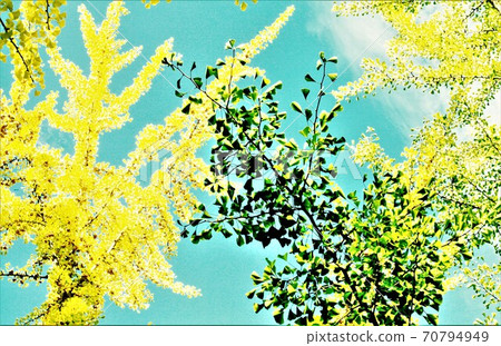 Green and yellow contrast Green and yellow contrast 70794949