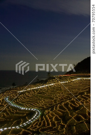 Illumination of white rice Sen Itta Illumination of white rice Sen Itta 70795554