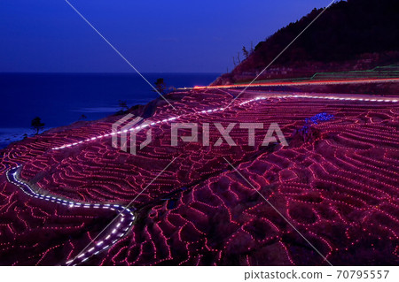 Illumination of white rice Sen Itta Illumination of white rice Sen Itta 70795557