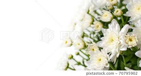 White chrysanthemum flowers and buds corner. 70795902