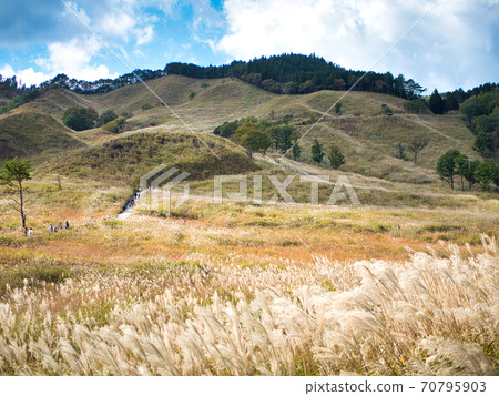 The Toho plateau of Susuki The Toho plateau of Susuki 70795903
