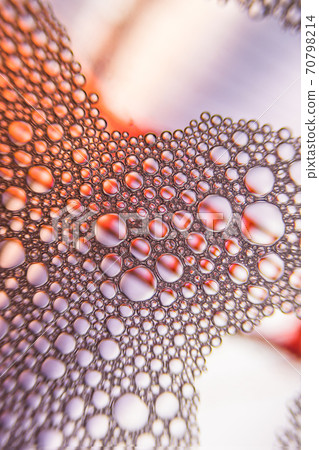 Close up of the Colorful bubbles on a purple, yellow, red background. Close up of the Colorful bubbles on a purple, yellow, red background. 70798214