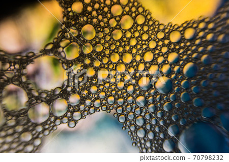Abstract water with color bubbles and texture Abstract water with color bubbles and texture 70798232
