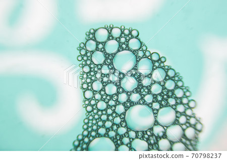 Bubble texture background. Big foam bubbles pattern. Blue ornament of soap spheres. 70798237