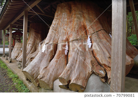 烏那吉日上神社“三木切子” 烏那吉日上神社“三木切子” 70799081