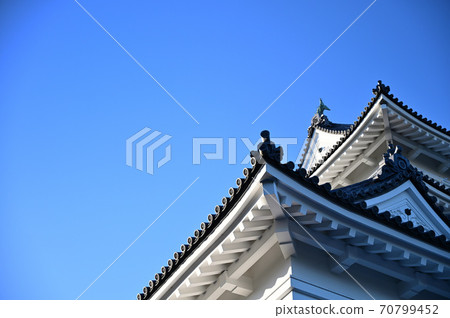 小田原城的風景_城堡內 小田原城的風景_城堡內 70799452